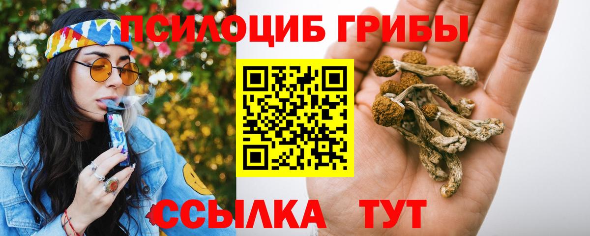 Псилоцибиновые грибы Magic Shrooms  Вход с VPN  Галлюциногенные грибы Cubensis  купить наркотики сайты  Нововоронеж 